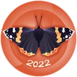 The Enigma