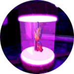 The Experiment