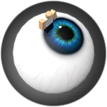 The Eye