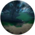 The Fast