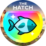 The Hatch
