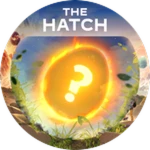 The Hatch