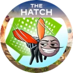 The Hatch