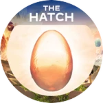 The Hatch