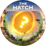 The Hatch