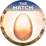 The Hatch 