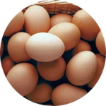 The Hatch Egg
