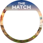 The Hatch Egg