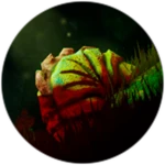The Larvae