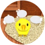 The Lost Eggs