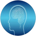 The Path to Intelligence