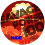 The Savage 100