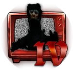 The Suit Incident Encounter IV