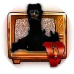 The Suit Incident Encounter V
