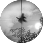 The Swatted