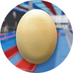The Yellow Egg