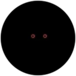 They're Watching