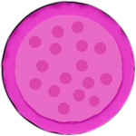 Token Pizza