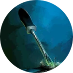 Tooth and Nail