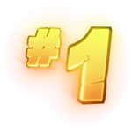 Top 1 Raider
