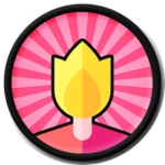 Torch
