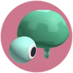 Tortoise