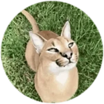 touched grass