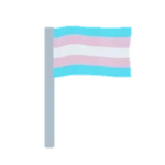 trans flag
