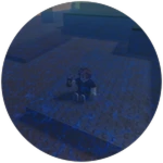 Unusual Survival Strategies