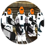 VIP Team
