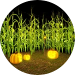 Visited "Corn Maze"