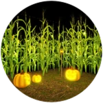 Visited "Corn Maze"