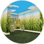 Visited "Corn Rooms"