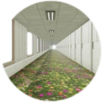 Visited "Infinite Garden"