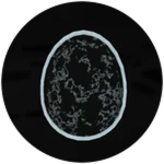 Void Egg