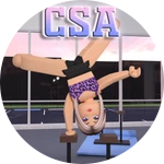 Welcome to Cirque School of Acrobatics!