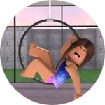 Welcome to Cirque School of Acrobatics V2!