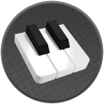 Welcome to Visual Pianos