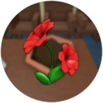 Where This Flower Blooms