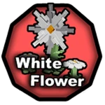 White Flower