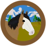Wild Buckskin Sabino Paint