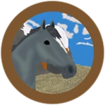 Wild Grey Appaloosa