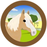 Wild Palomino Tobiano Paint