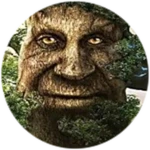 Wood Festival 2022