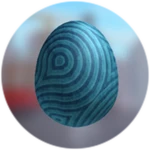 Wooden Egg