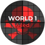 World 1 Hardcore Aced