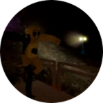 You died to stalker