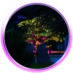 You Discovered The Tree of Life