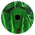 You found a bird house
