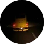 You Found a Yellow Beetle!